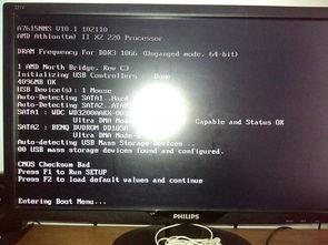 电脑开机显示无视频输入,电脑无视频输入故障排查指南