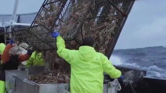 全球牛人视频大全