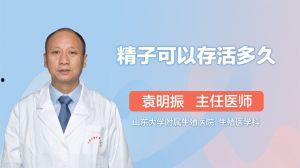 男人的精子视频,视频解析精子世界的奥秘