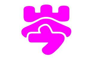 岑姓视频,传承与创新的视频故事