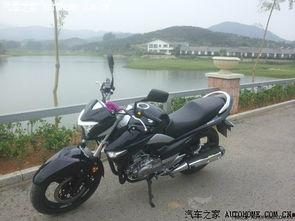 铃木250骊驰视频,性能与操控全面评测