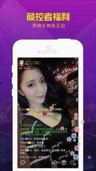 恋夜视频直播,揭秘夜幕下的虚拟互动世界